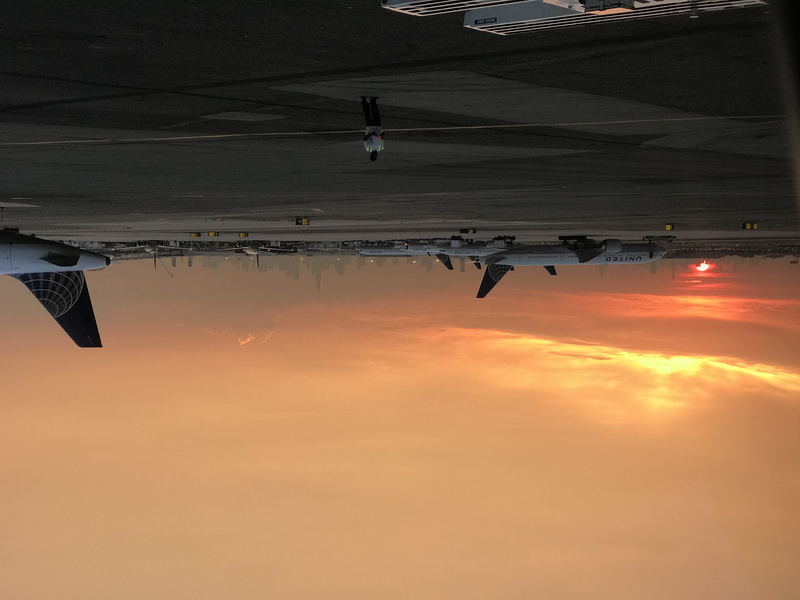 city, ewr, newark, planes, aerospace, sun, orange color, silhouette, cityscape, airplanes, building exterior, 4K, airplane, travel, sky, built structure