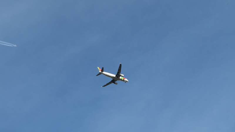 clear sky, chemtrails, aerobatics, copy space, contrail, propeller airplane, flying, mode of transportation, blue, day, conspiracy theory, airliner, air vehicle