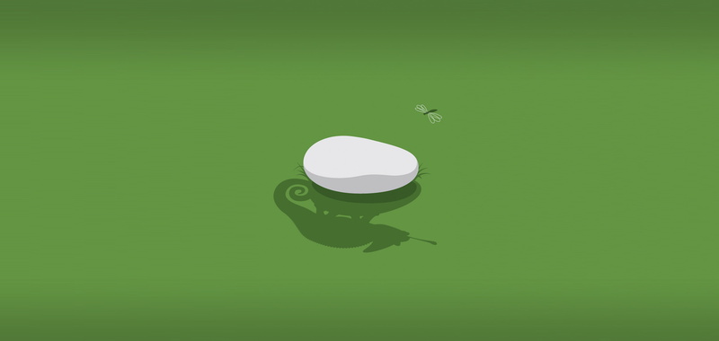 chameleon, stone, invisible, hunting, hidden, shadow, dragonfly, minimalism, 4K, nezhdanchik, conspiracy, grass