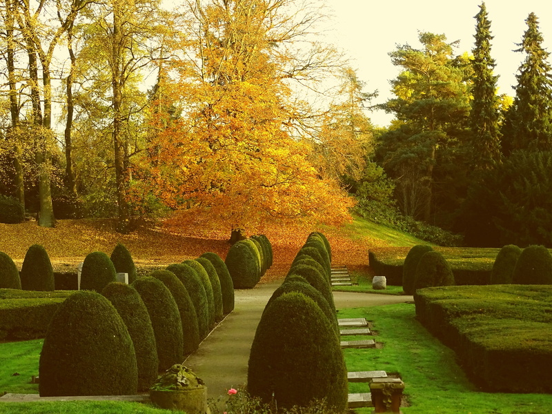 Hamburg, 2K, hedge, rest, tranquil scene, field, landscape, environment, land, tranquility, autumn, tombstone, change, growth, green color, Cemetery, hamburg