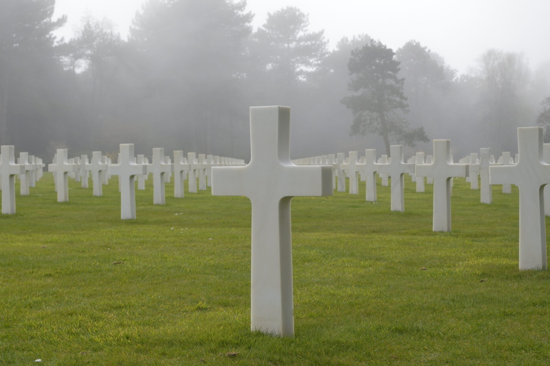 commemoration, grave, no people, war, military, day, falls, white color, grass, green color, American, religion, fog, army, outdoors, cross, tree, respect