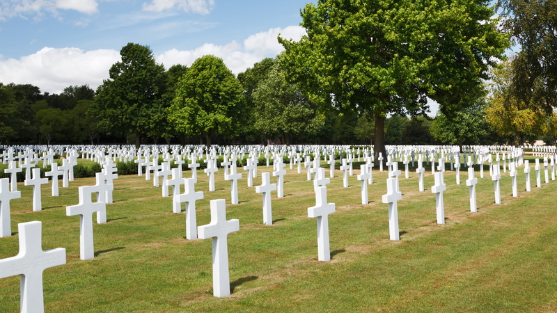 american, plant, large group of objects, funeral, memorial, daytime, stone, nature, 4K, monument, green, army, sadness, wwii, religion, no people, day