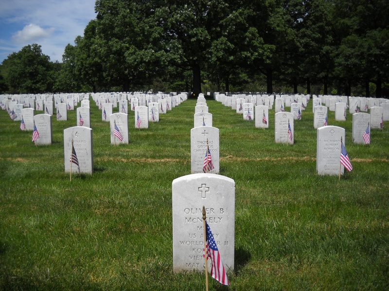 america, dead Person, patriotism, honor, uS Memorial Day, tombstone, memorial, nature, tree, outdoors, memories, harmony, war, war Memorial, stone, military