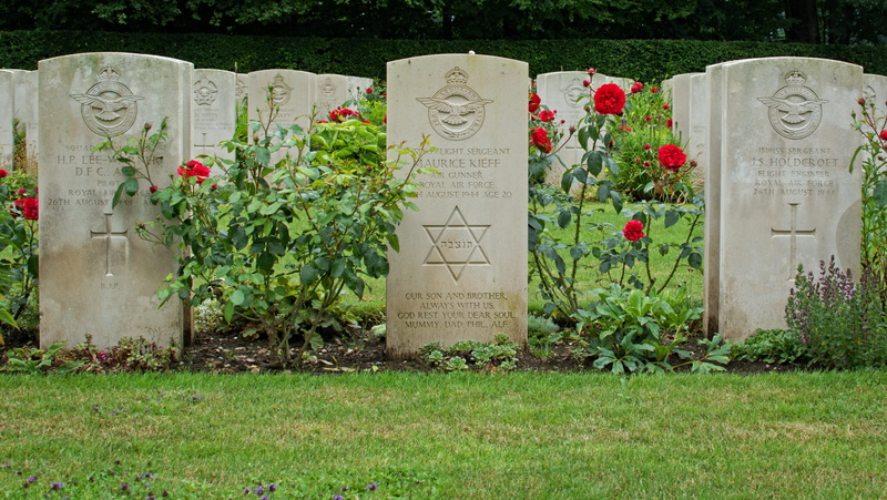 nature, non-western script, script, World, old cemetery, outdoors, 4K, plant, War, green color, atmosphere, grave, text, gods acre, World War, faith, peaceful