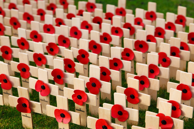 repetition, industry, arrangement, red, military, high angle view, selective focus, flower, war, poppy, toy, in a row, close-up, brown, symbols, remembrance
