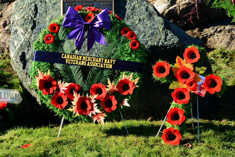 memorial, remembrance day, creativity, symbol, commemoration, sign, lest we forget, representation, cross, army, hero, land, flower, flowering plant, nature