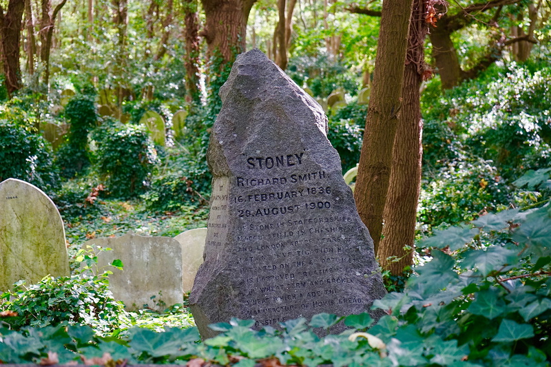 old, tree, religion, ancient, graveyard, plant, cemetery, growth, grave, forest, 5K, gravestone, land, nature, peace, creativity, stone, day, outdoors