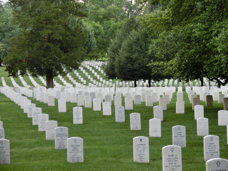 nature, victims, dead, favor, memorial, outdoors, stone, washington, grave, plant, soldiers, emotion, graves, no people, grass, america, war, government