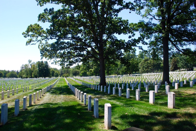 green color, national, arlington, no people, nature, tombstone, memorial, headstone, patriot, veteran, sadness, in a row, death, monument, 2K, military