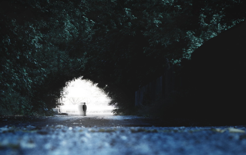 nature, surface level, water, no people, illuminated, beauty in nature, outdoors, direction, plant, deep, architecture, land, cavern, road, standing, growth