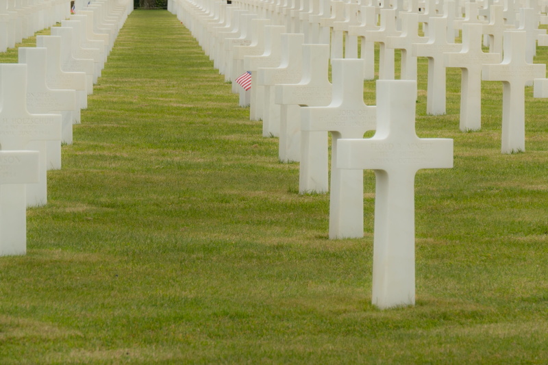 war, large group of objects, normandy, cross, green color, stone, american, overlord, grass, grave, crosses, no people, nature, commemoration, outdoors