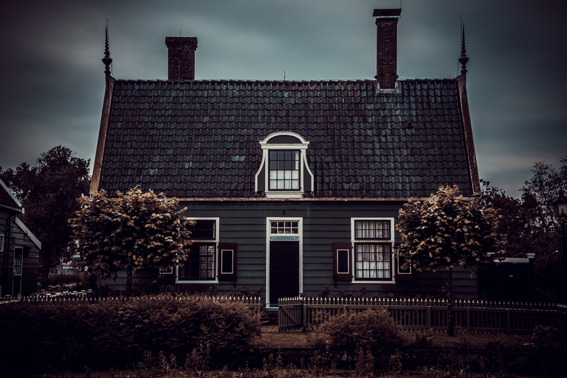 architecture, facade, dangerous, dark, day, holland, old houses, ghostly, tree, built structure, no people, creepy, building, haunted house, plant, residential district