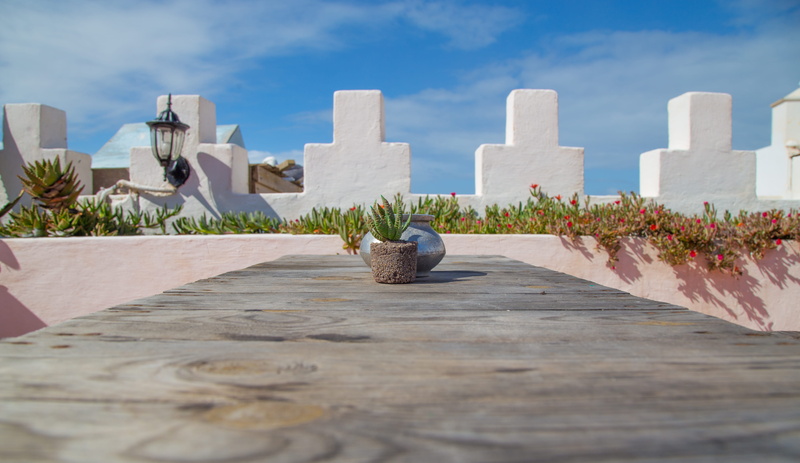 imágenes más bonitas, imágenes hermosas, plant, sky, nature, gratuit, day, tombstone, no people, built structure, building, animal, african