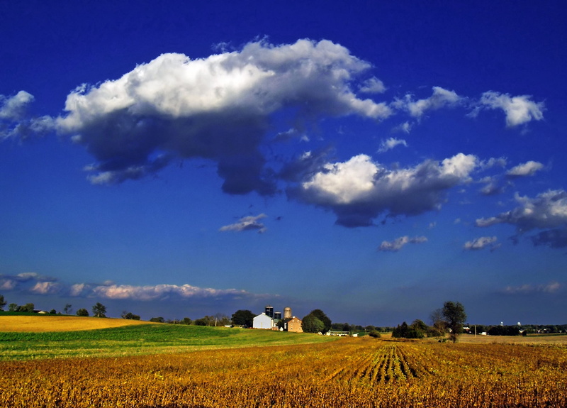 rice field, Pastoral, cloud - Sky, sky, summer, photography, outdoors, rice, blue, rural Scene, East Petersburg, nature, 1080P, Pennsylvania, farm, stock photography