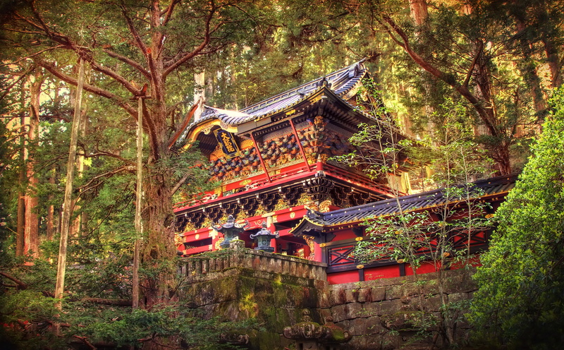 eaves, worldheritage, belief, canon7d, reibyo, Trees, outdoors, tree, Vintage, Forest, photomatix, nikkoshi, built structure, plant, growth, roof, low angle view