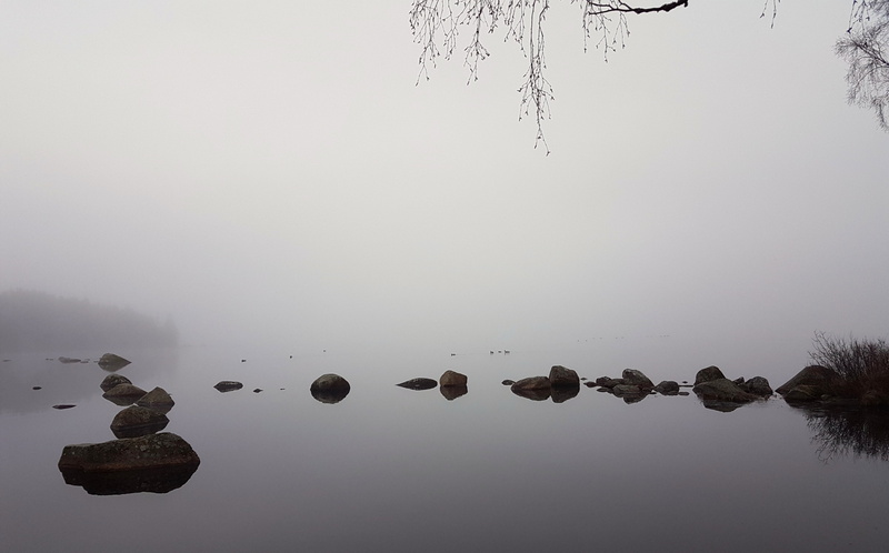 untitled, sweden, sverige, minimalism, nature, landscape, 4K, Serenity, water, natur, monochrome, växjö, reflection