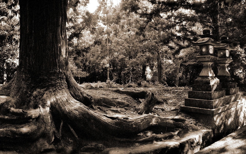tranquil Scene, footpath, representation, cemetery, sculpture, autumn, day, landscape, art and craft, outdoors, black-and-white, obsolete, garden, built structure
