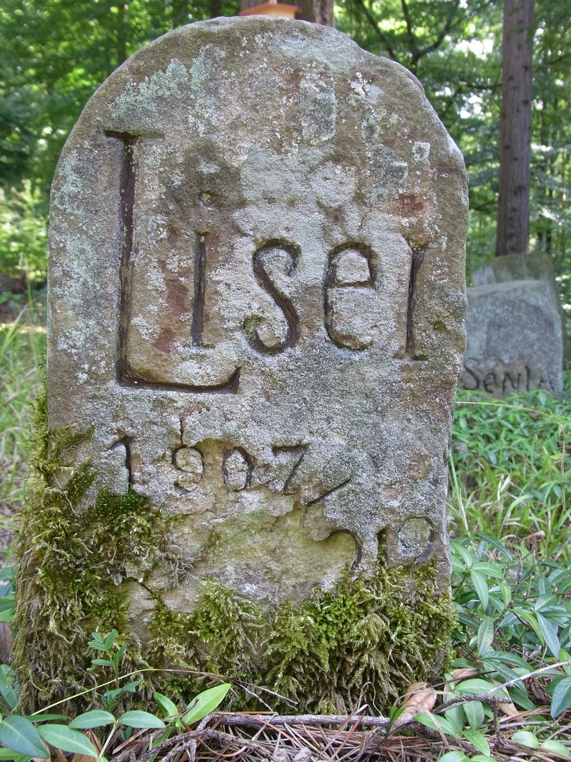 woodland cemetery, tomb, history, plant, human representation, forest, sand stone, Dogs, stone, stone material, tombstone, 2K, cemetery, representation