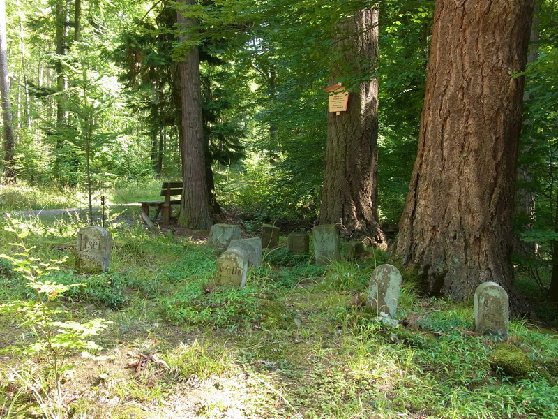 field, 2K, grass, peaceful, last calm, day, green color, no people, nature, grave, tree trunk, woodland, land, bark, outdoors, tombstone, tree, sand stone