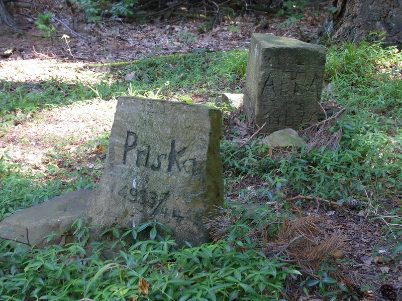 no people, peaceful, grave, rest, day, western script, forest, cemetery, communication, grave stones, stone, plant, graves, sand stone, text, solid, the past