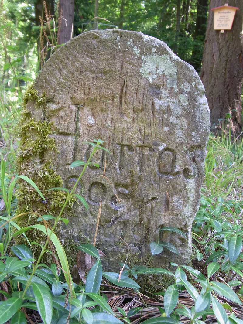 Dogs, day, focus on foreground, woodland cemetery, bark, land, green color, trunk, no people, sand stone, grave stones, plant, Animals, cemetery, craft