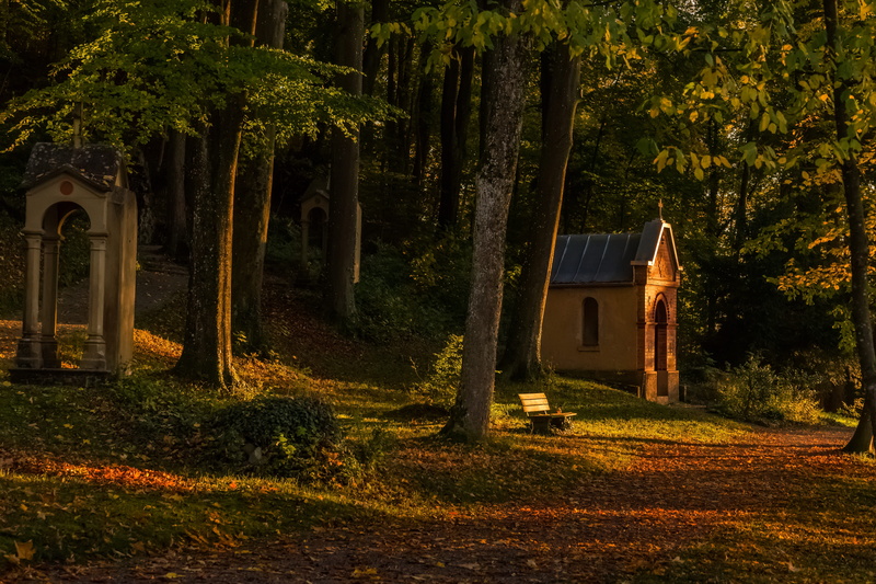color, spirituality, nature, belief, woodland, lighting, chapel, shining, autumn, place of worship, 5K, woodland cemetery, trees, building, grass, religion