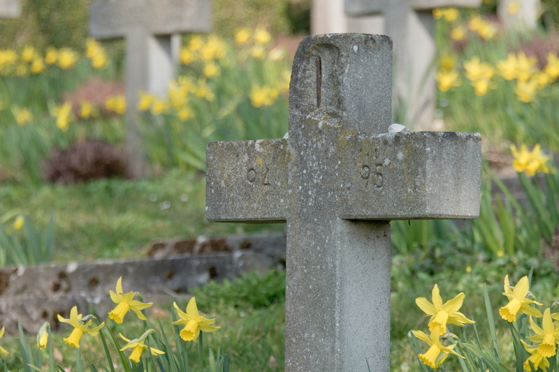 yellow, nature, tomb, outdoors, flower, day, focus on foreground, 4K, graves, holy, birnau, daffodil, no people, seelig, überlingen, grave stones, past