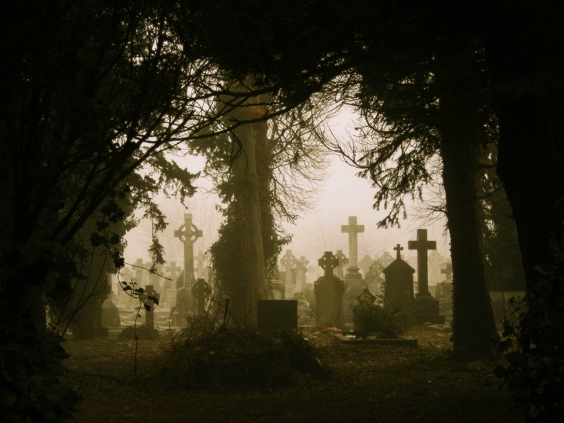architecture, artwork, cemetery, the past, nature, no people, original, Dark, plant, outdoors, spooky, artistic, creepy, art, forest, scary, 720P, fantasy