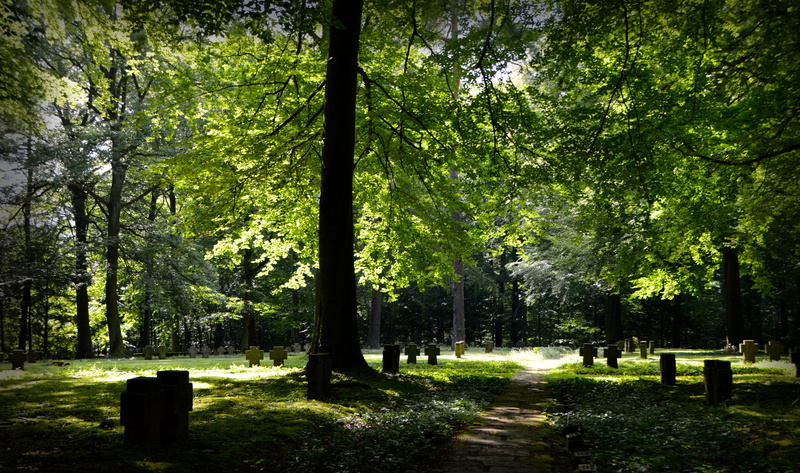 consolation, green, tree trunk, longing, footpath, photography, weststadt, landscape, plant, outdoors, tranquility, trees, woodland, tree, grave, cemetery
