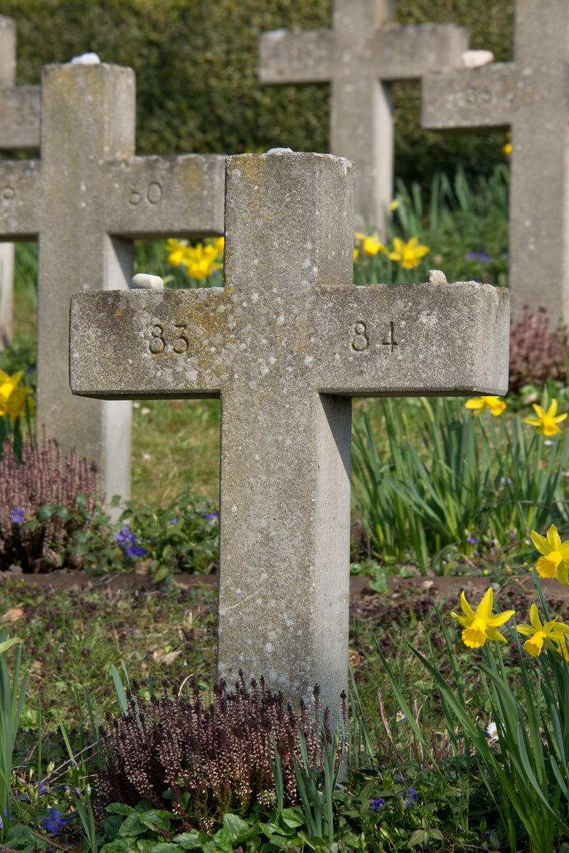 day, last calm, plant, crucifix, grave, graves, peaceful, memorial, lake constance, grave stones, forest, outdoors, Funeral, uhrlingen, sadness, woodland cemetery