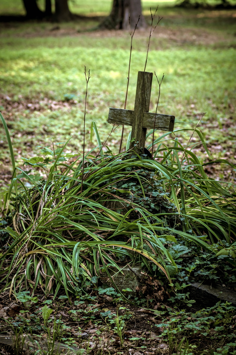 forest, old cemetery, monument, grass, day, beauty in nature, bench, focus on foreground, bereavement, selective focus, land, abandoned, tranquility, cross