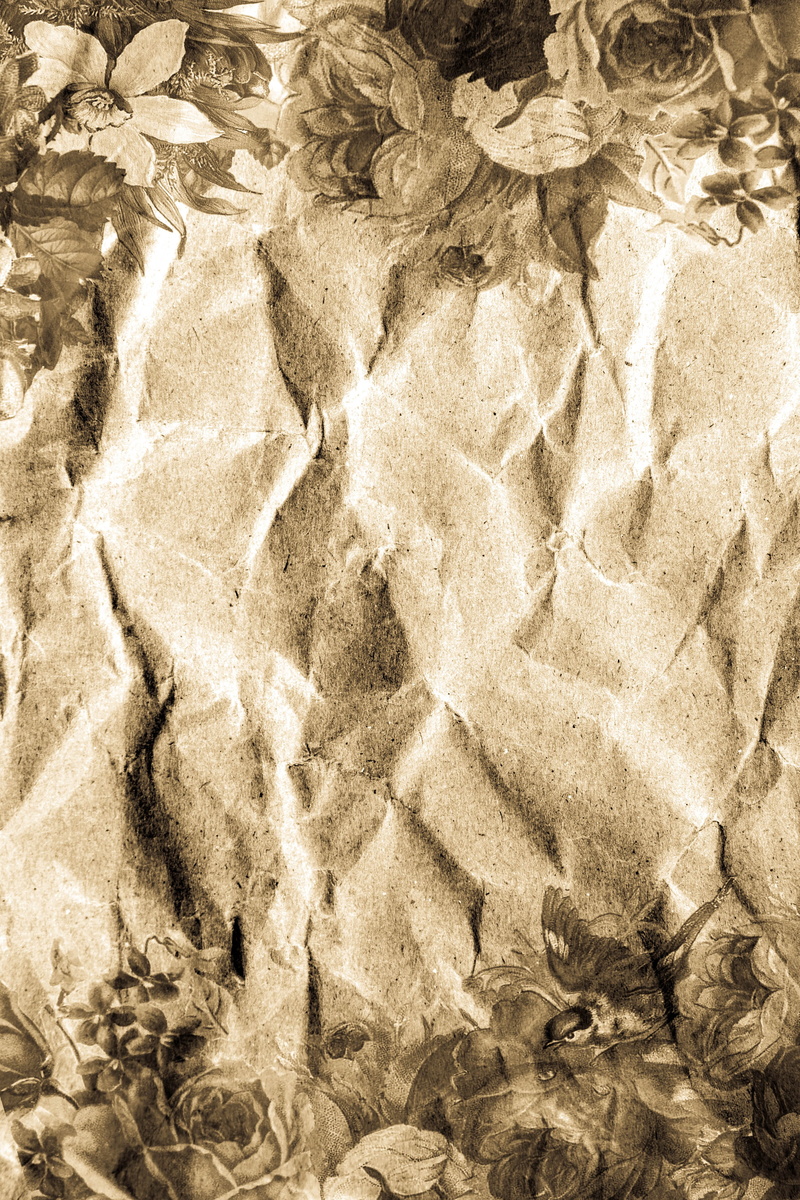 high angle view, textured, scrapbook, abstract, 4K, art and craft, stationery, pattern, day, paper, old paper, solid, nature, birds, creativity, full frame