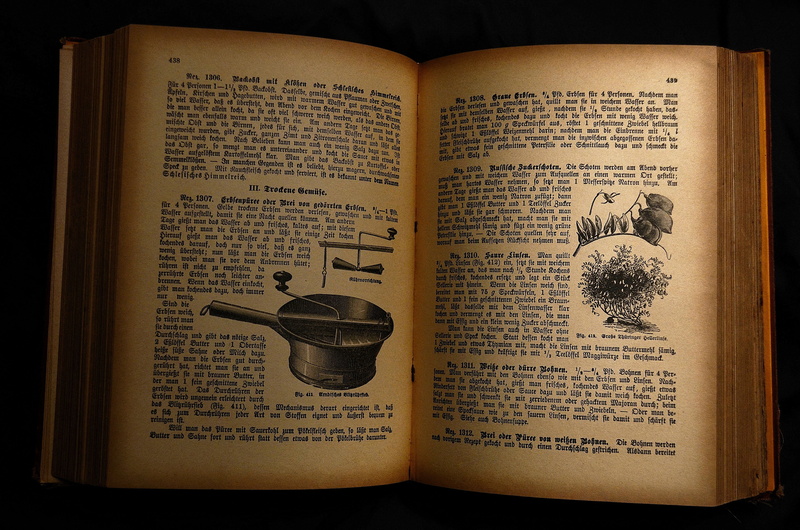 illustration, literature, open, paper, antiquarian cookbook, belief, page, western script, antiquariat, communication, high angle view, brown, publication