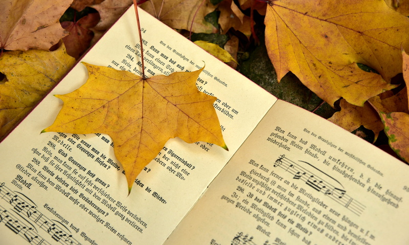 autumn, old, maple leaf, change, paper, finally, mood, plant part, memory, 5K, still life, music, mourning, publication, no people, banner, antiquariat