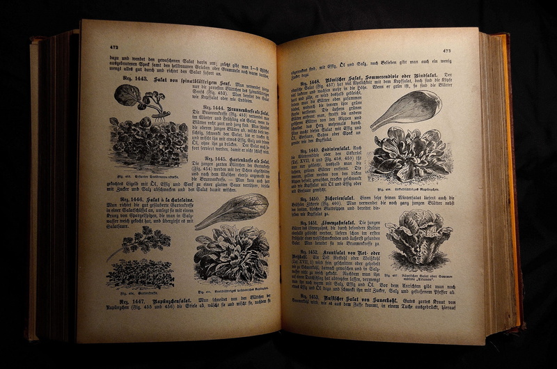old cookbook, no people, open, black background, text, architecture, spirituality, antique cookbook, expertise, belief, religion, publication, cookbook