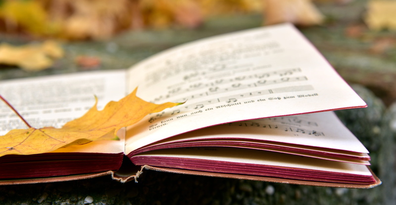 open, finally, paper, music, leaves, sheet, time, 5K, memory, no people, antique, text, close-up, past, communication, book, transient, education, colorful