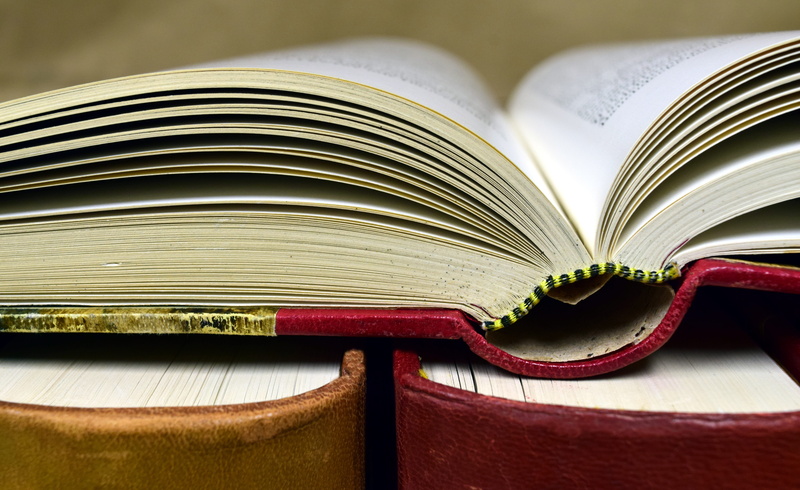expertise, pages, focus on foreground, page, still life, leather, paper, folded, indoors, look up, old books, education, used, publication, open, two, learning