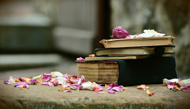 literature, growth, book market, petal, library, fragility, close-up, plant, worn, used books, day, old books, petals, vulnerability, flower head, outdoors