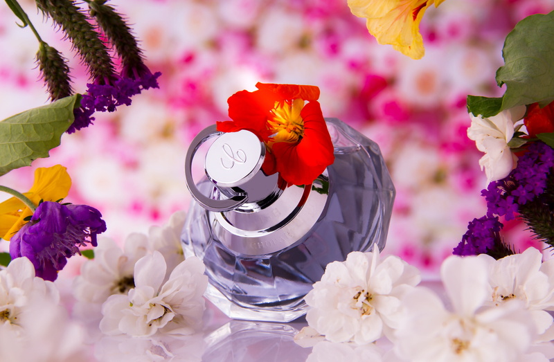 no people, close-up, fragrance, wellness, deco, fragrant, springtime, clock, aromatic, flower, fragility, bouquet, blossom, flacon, flower head, flowers