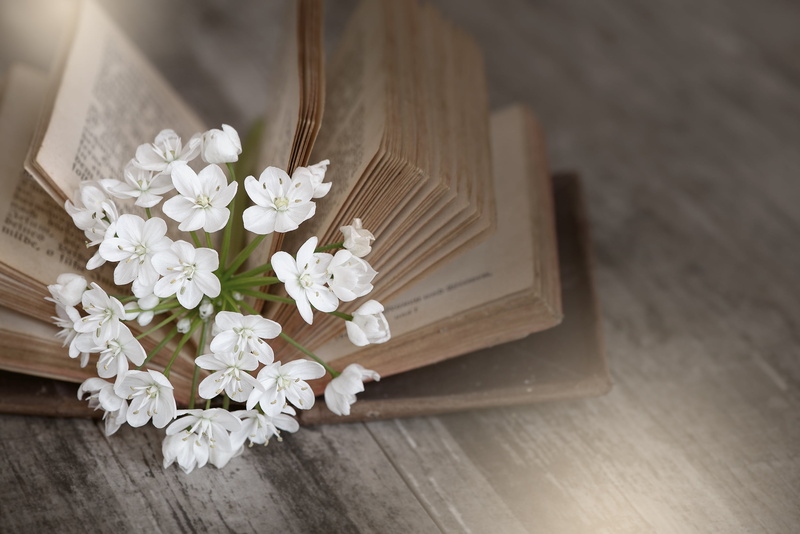 backgrounds, close, close-up, indoors, vulnerability, fragility, flower arrangement, plant, flooring, cherry blossom, high angle view, old, flower, table
