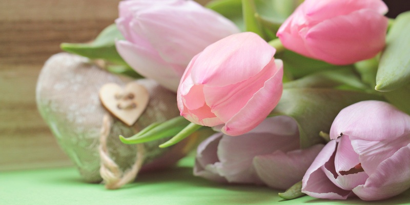 romantic, rose - flower, schnittblume, tulip, light pink, petal, focus, purple, still life, plant, tulips, no people, flower Head, bouquet, decoration
