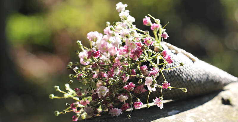 outdoors, greeting card, plant part, background image, background, rose flowers, bag of flowers, nature, postcard, romantic, beauty in nature, celebration