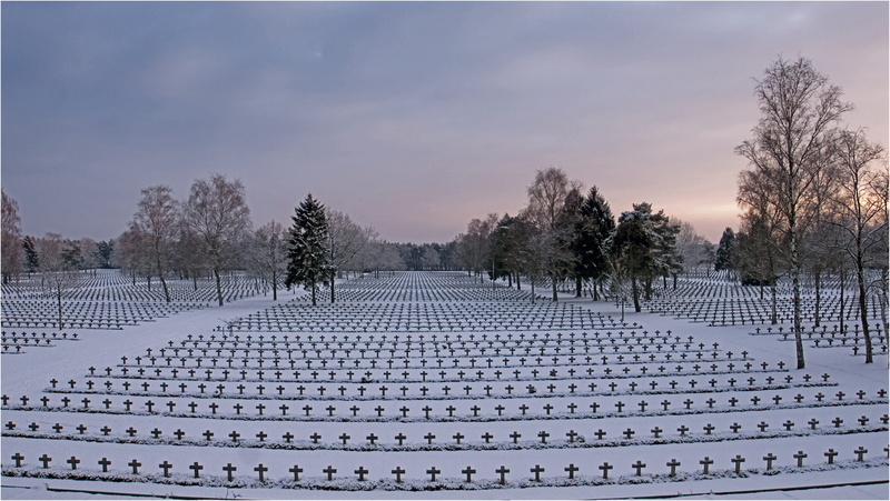 tree, architecture, landscape, repetition, no people, 8K, scenics - nature, soldier, snow, memorial, military, grave, winter, tranquility, cold temperature