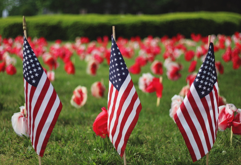 striped, memorial day background, plant, green, day, memorial, 4K, flag, white, cemetery, memorial day, grass, grave, nature, american, flags, patriotism