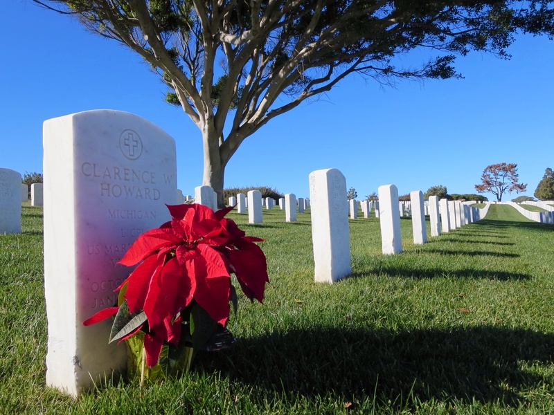 sunlight, stone, 2K, ocean, cemetery, text, grass, red, memorial cemetery, clear sky, vista, sky, headstones, memorial, burial, flower, military, day
