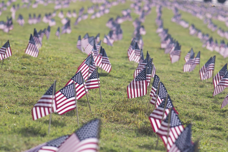 flag, us, cemetery, flags, government, uSA, memorial, american Flag, outdoors, striped, tombstone, armed forces, military, uS Memorial Day, uS Veterans Day