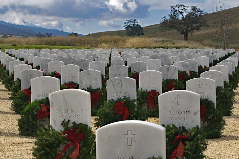 navy, military, courage, air force, stone, tejon ranch, plant, bakersfield national cemetery, tombstone, country, outdoors, grave, kern county, text, nature