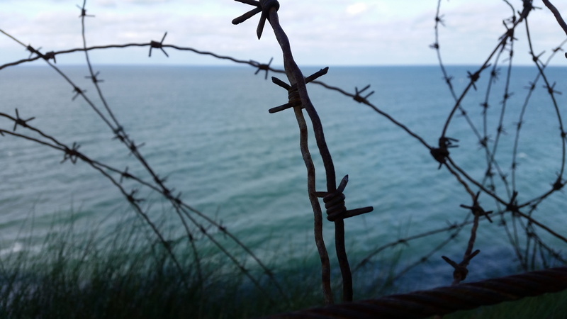 tree, barbed wire, nature, outdoors, cloud - sky, land, 5K, saint-laurent-sur-mer, sea, blurred shot, no people, plant, focus on foreground, dead plant
