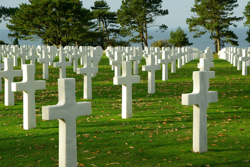 cross, omaha beach, 2K, plant, large group of objects, tree, outdoors, nature, d day, history, in a row, stone, no people, white, memorial, grass, white color