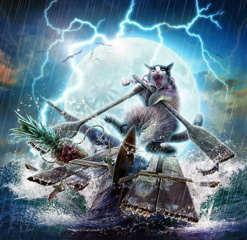 mr ripley, animals in the wild, fantasy, tree, Cat away, boat, no people, outdoors, vara, sunlight, moon, one animal, luminos, water, summer, vertebrate